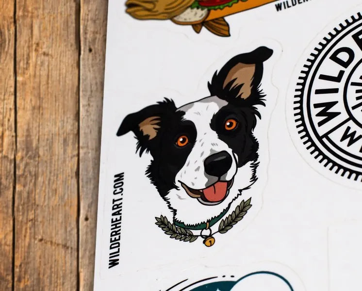 Close-up of the border collie sticker