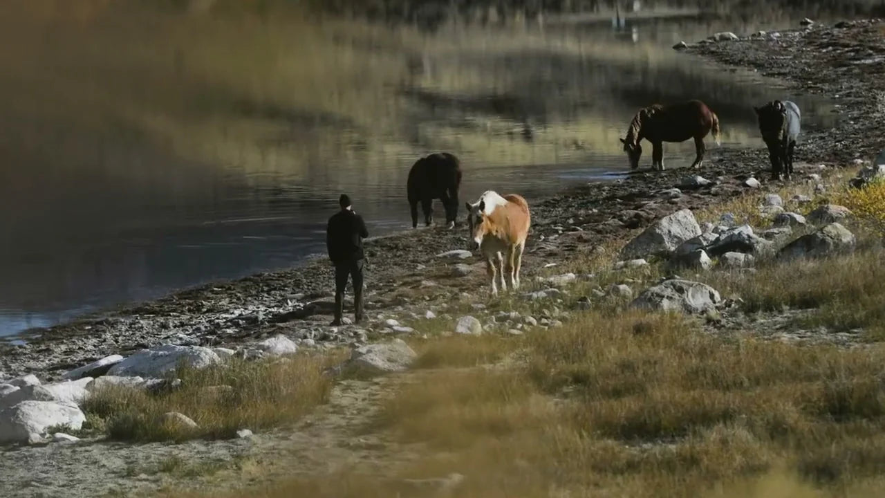 Horses grazing by a mountain lake with a rider walking the shore