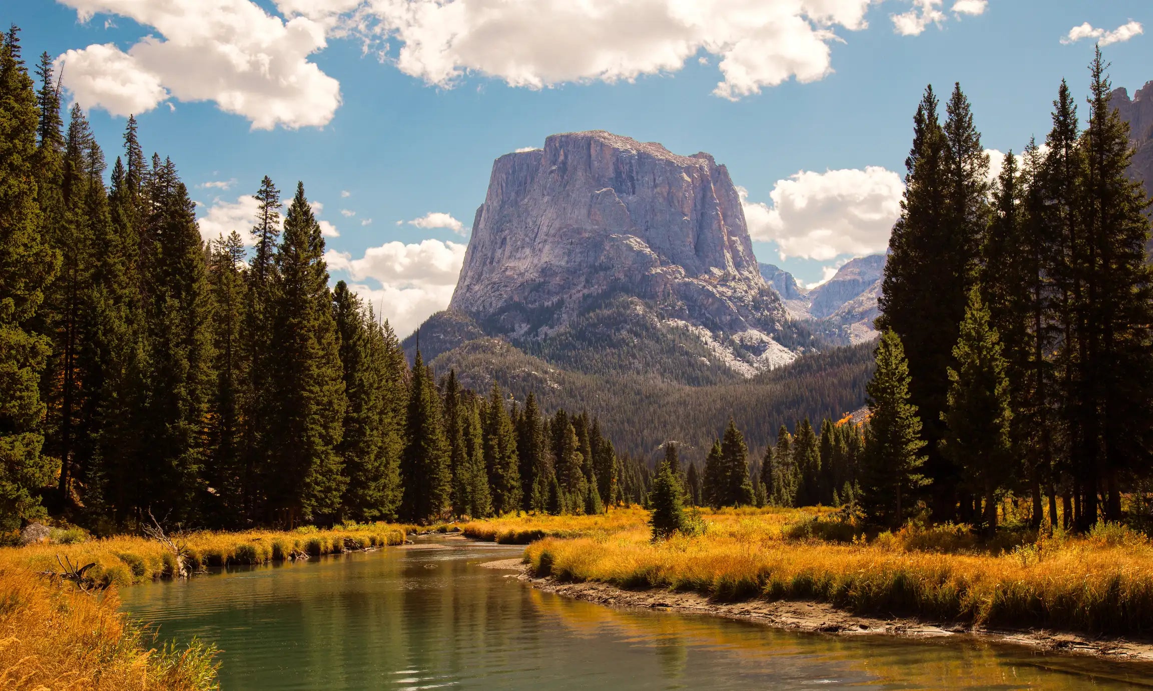 Squaretop Mountain above a river and pine forest in Wyoming